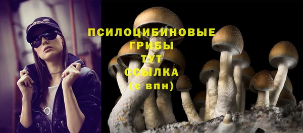 бошки Абаза