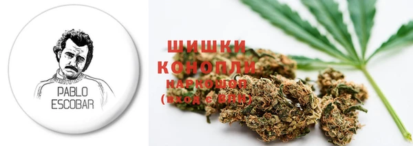 PSILOCYBIN Абдулино