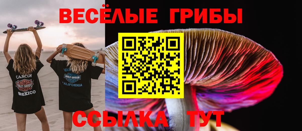 Псилоцибиновые грибы Magic Shrooms Новосибирск