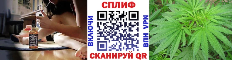Конопля Ganja купить наркотики цена ОМГ ОМГ онион Новосибирск